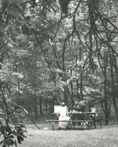 Picnic in the park, 1965