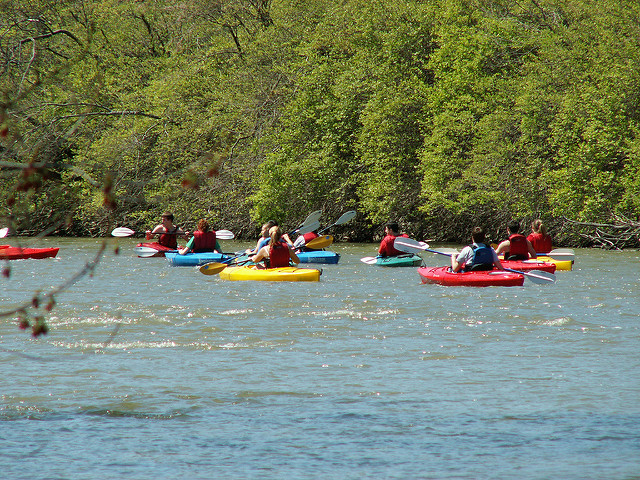 Image result for riverscape metropark canoe