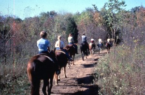 Horse riding trails