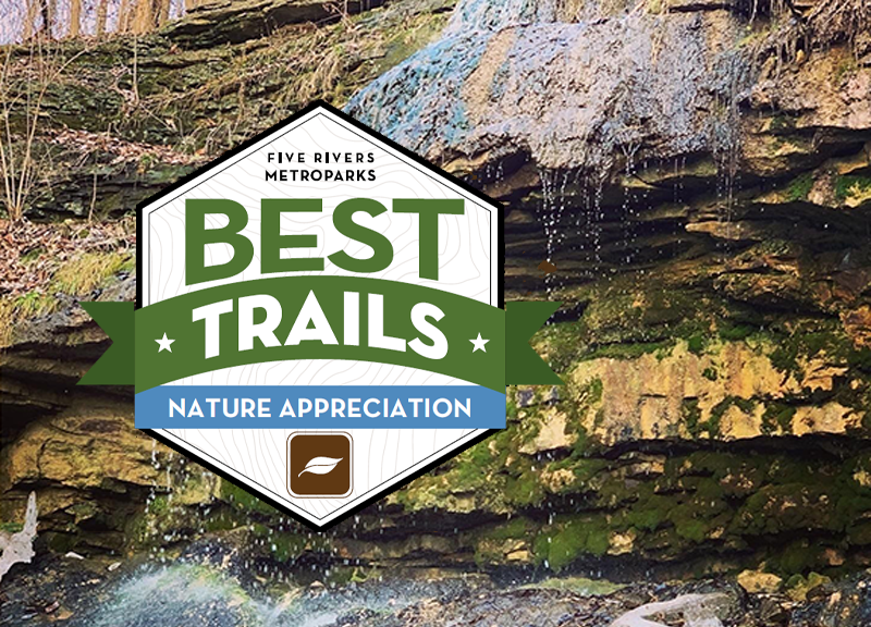 Nature Appreciation Trails