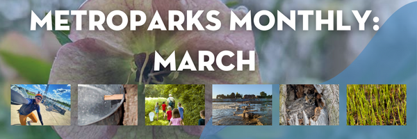 MetroParks Monthly: Programs & Events for March