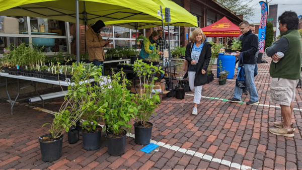 Peak Harvest, Hunger Awareness and Native Plant Sale at the 2nd Street ...