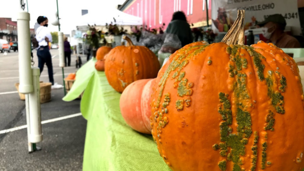 New vendors, September food drives and fall programs at the Market